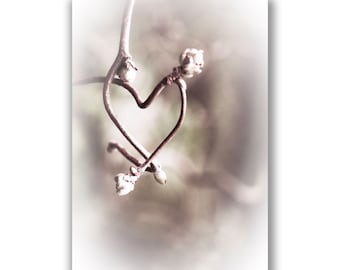 Heart shaped branch photo, valentines card, heart photo print, wedding card, engagement card, anniversary card, photo print, heart art