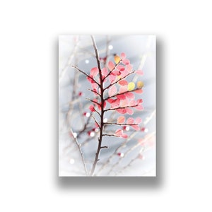 Tarjeta fotográfica de diseño de hojas abstractas, impresión fotográfica original, tarjeta de cumpleaños, tarjeta de navidad, arte fotográfico, tarjeta de simpatía, para amantes de la naturaleza