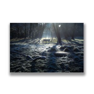 Frosty morning scene fotokaart, winter wenskaart, st marys tower hornsey, londen n8, park bank