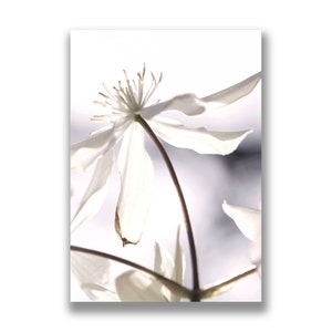 Cartão branco de clematis, cartão com foto floral, cartão de 8º aniversário de casamento, cartão de páscoa, cartão de simpatia, arte botânica, impressão de fotos