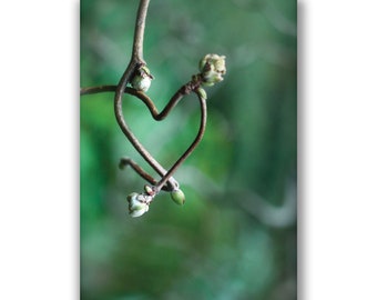 Heart shaped branch photo card, Valentines card,  engagement card, nature photo, heart art, heart tree, framable print, hazel, sympathy card