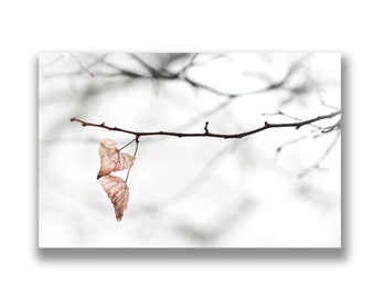 Winter Leaves photo card, christmas card, greetings card, photo print, photo art, abstract nature photo, winter