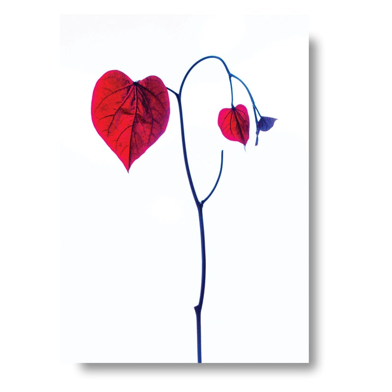 Hartvormige bladfotokaart, hartkunst, fotokunst, jubileumkaart, verlovingskaart, trouwkaart, sympathiekaart, valentijnskaart afbeelding 1
