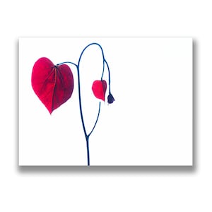 Carte postale cœur rouge, carte postale photo feuille rouge, carte postale de la Saint-Valentin, photo abstraite de la nature, mariage, anniversaire, fiançailles, art du cœur, note
