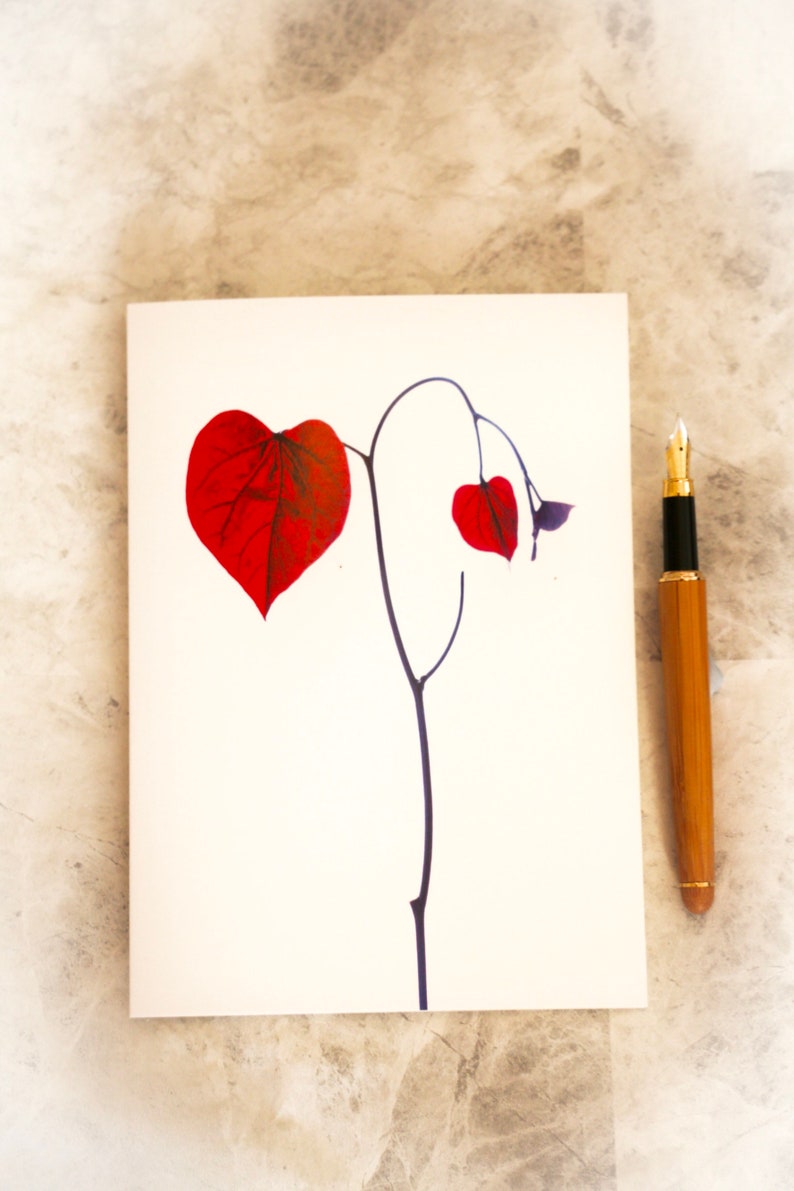 Hartvormige bladfotokaart, hartkunst, fotokunst, jubileumkaart, verlovingskaart, trouwkaart, sympathiekaart, valentijnskaart afbeelding 4
