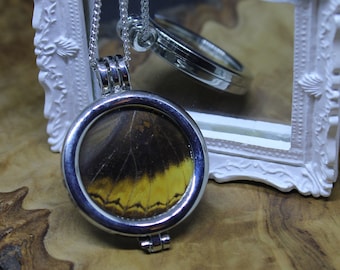 Real Butterfly Wing, encased in a double sided glass window memory locket, Pendant Necklace. *No butterflies harmed in the making*