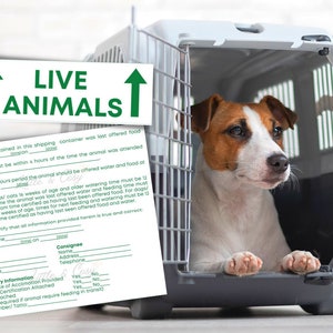 Calcomanías para mascotas de IATA / Calcomanías para mascotas requeridas por IATA / Caja de carga de aerolíneas / Etiqueta de envío de animales vivos imagen 2