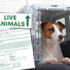 Live Animals Printable Stickers / Live Animals Stickers for Airline Cargo Crates / Pet Air ...