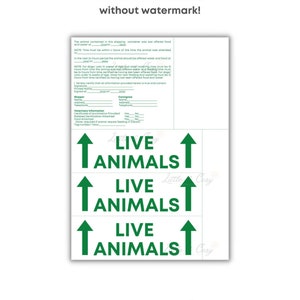 IATA pet stickers / IATA required pet stickers / Airline cargo crate / Live Animal Shipping Label image 1