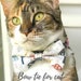 see more listings in the Cat sewing patterns section