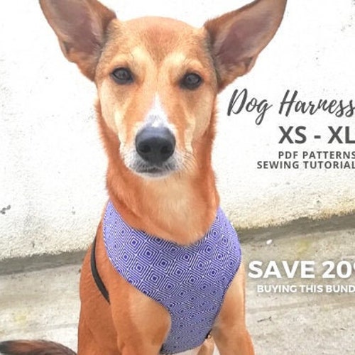 DIY Martingale Tutorial Instructions Adjustable Dog Collar Etsy