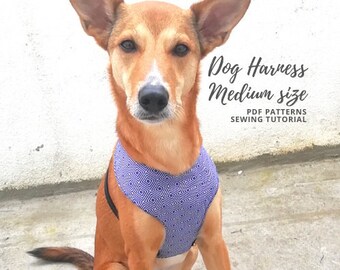 Dog harness sewing pattern Medium size / Adjustable chest harness DIY Tutorial and M Pattern / Sewing for pets PDF Instant Download