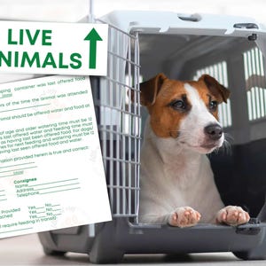Live animal sticker, Printable stickers PDF, Dog crate travel stickers, Pet carrier tag Airline sticker