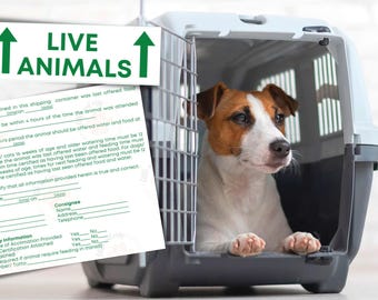 Aufkleber für lebende Tiere, druckbare Aufkleber (PDF), Aufkleber für Hundetransportboxen, Aufkleber für Haustiertransportboxen (Flugzeug)