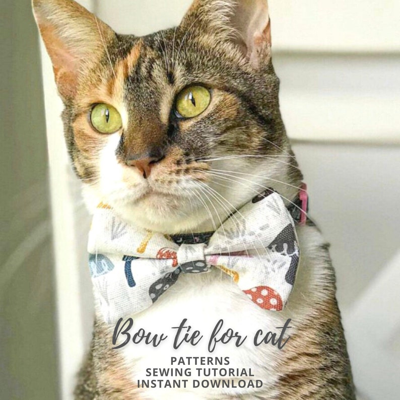 Cat bow tie pattern / Pet bow pattern / Small Bow tie pattern / Bow sewing pattern for cats and kittens / Cat sewing pattern / Pet pattern image 1