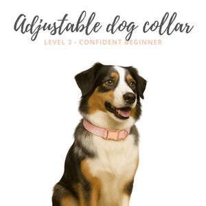 May include: A dog wearing a pink adjustable collar with a gold-colored buckle. The dog has black, brown, and white fur. Text above the dog reads "Adjustable dog collar" and "LEVEL 3 - CONFIDENT BEGINNER".