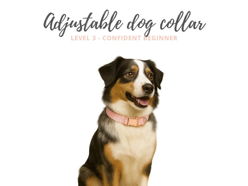 May include: A dog wearing a pink adjustable collar with a gold-colored buckle. The dog has black, brown, and white fur. Text above the dog reads "Adjustable dog collar" and "LEVEL 3 - CONFIDENT BEGINNER".