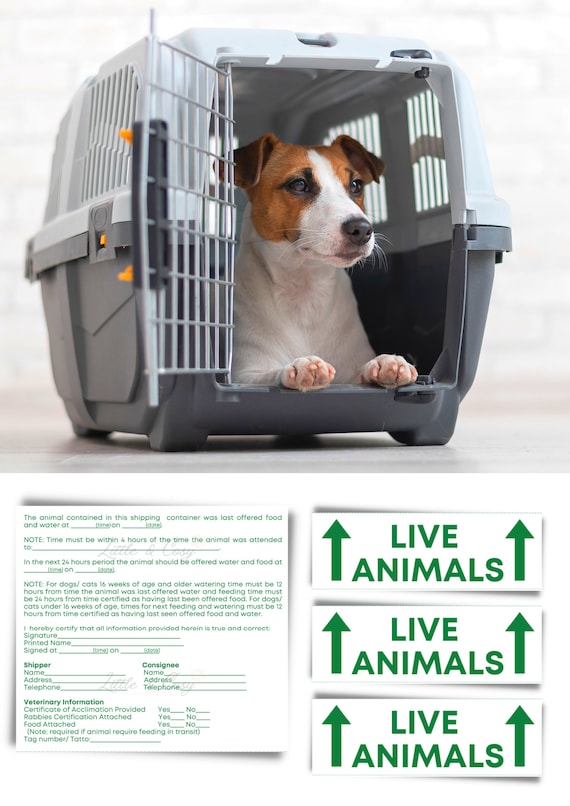 Live Animal Cage Stickers INSTANT DOWNLOAD Custom Dog Carrier ID