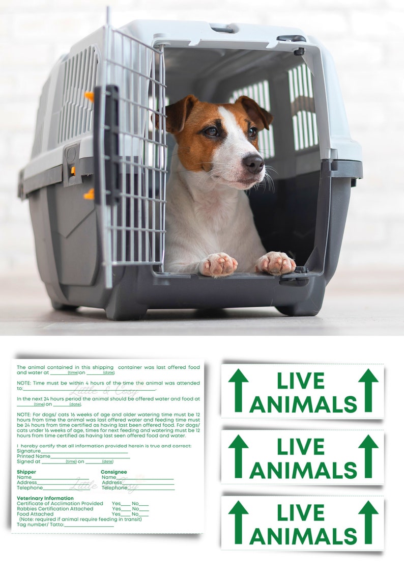 IATA pet stickers / IATA required pet stickers / Airline cargo crate / Live Animal Shipping Label image 3