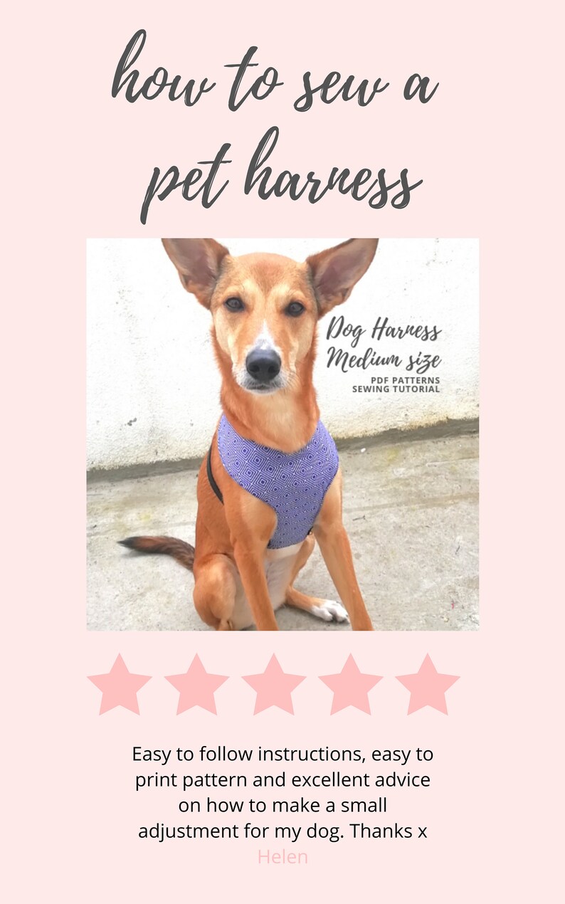 XS Dog Harness Sewing Tutorial and Pattern / Extra Small Etsy