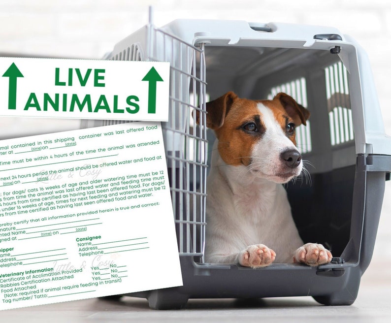 IATA pet stickers / IATA required pet stickers / Airline cargo crate / Live Animal Shipping Label image 2