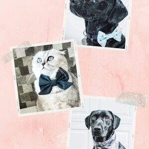 10 Sewing Tutorials and Patterns of dog accessories: dog bandana pattern, dog collar pattern, dog bow tie pattern, dog harness pattern. image 3