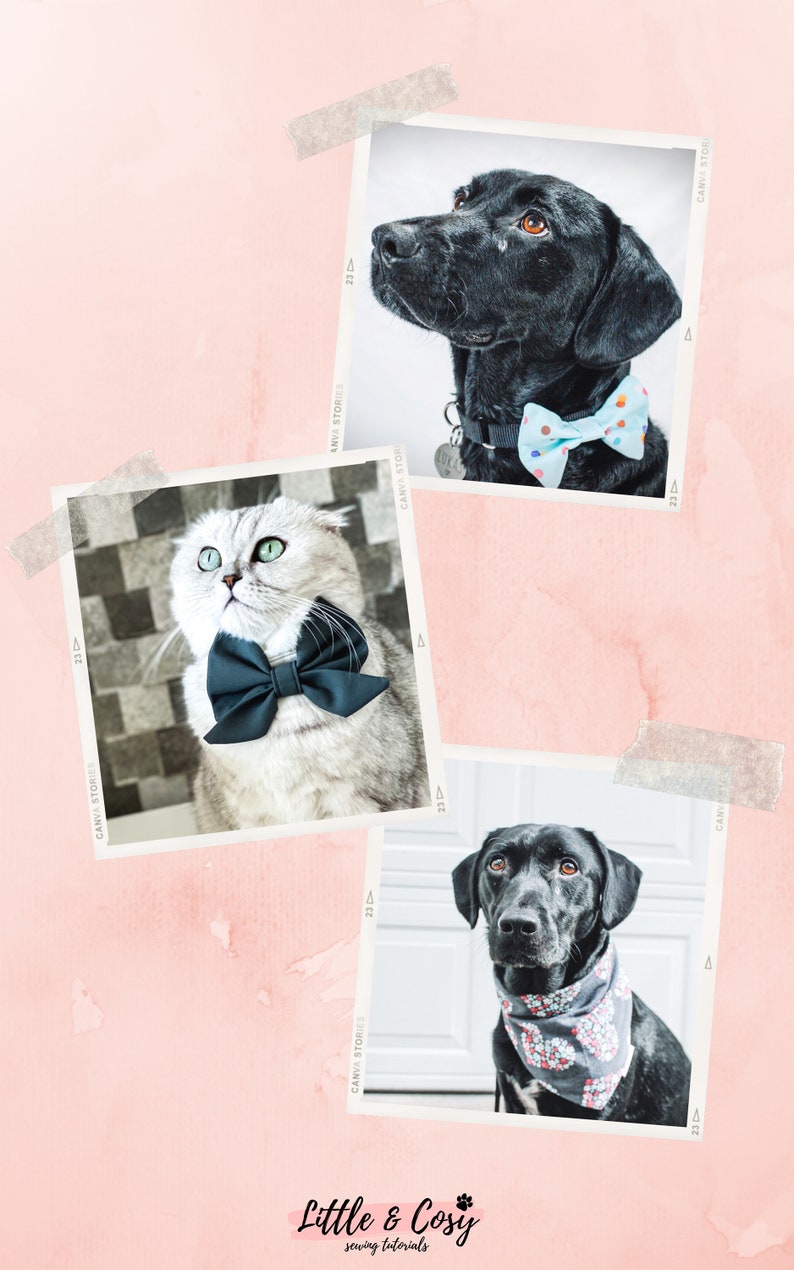 10 Sewing Tutorials and Patterns of dog accessories: dog bandana pattern, dog collar pattern, dog bow tie pattern, dog harness pattern. image 3