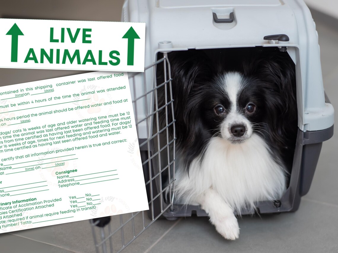 Curated visual reference: Fresh Look at Iata Pet Stickers Iata Required Pet Stickers Airline Cargo Crate