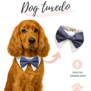 Pode incluir: Um Cocker Spaniel dourado usando uma gravata borboleta azul e uma gola branca de smoking para cães. A imagem inclui o texto "Dog tuxedo" e ícones para download digital e seis tamanhos.