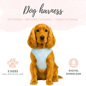 May include: A golden Cocker Spaniel wearing a light blue dog harness with white floral patterns. The image includes the text "Dog harness" and "PATTERNS + WRITTEN TUTORIAL + VIDEO TUTORIAL". It also shows "3 SIZES" and "DIGITAL DOWNLOAD".