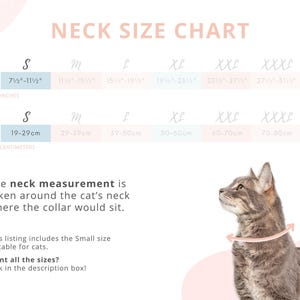 May include: A neck size chart for cats, with measurements in inches and centimeters. The chart includes sizes S, M, L, XL, XXL, and XXXL. A gray tabby cat is shown with a pink circle around its neck to indicate where to measure.