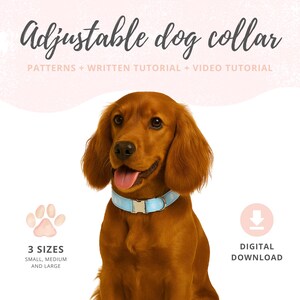 Op de afbeelding: Een roodbruine hond met een lichtblauwe verstelbare halsband met een zilveren gesp. De afbeelding bevat de tekst "Adjustable dog collar" en "PATTERNS + WRITTEN TUTORIAL + VIDEO TUTORIAL". Extra tekst geeft "3 SIZES" en "DIGITAL DOWNLOAD" aan.
