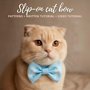 Könnte beinhalten: Eine hellbraune Katze mit einer hellblauen Schleife mit weißem Wolkenmuster. Der Text "Slip-on cat bow" und "PATTERNS + WRITTEN TUTORIAL + VIDEO TUTORIAL" ist im Bild enthalten.