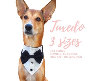 Dog tuxedo pattern / Dog wedding outfit / Dog tux / Dog wedding tuxedo / Dog smoking bandana / Tuxedo pattern / Black tuxedo