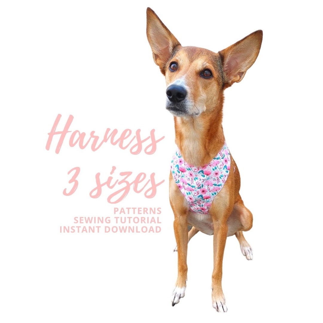 Dog Harness Pattern/ Dog Clothes Patterns / Harness Dog PDF / Dog