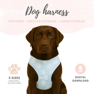 Pode incluir: Um labrador castanho usando uma coleira azul clara para cães com pegadas brancas. A imagem inclui o texto "Dog harness" e detalhes sobre padrões, tutoriais e tamanhos, disponível para download digital.