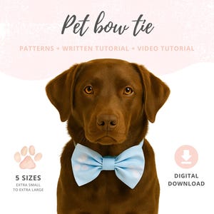 Pode incluir: Um Labrador castanho usando uma gravata borboleta azul clara com bolinhas brancas. A imagem inclui o texto "Pet bow tie" e "PATTERNS + WRITTEN TUTORIAL + VIDEO TUTORIAL". Texto adicional indica "5 SIZES" e "DIGITAL DOWNLOAD".