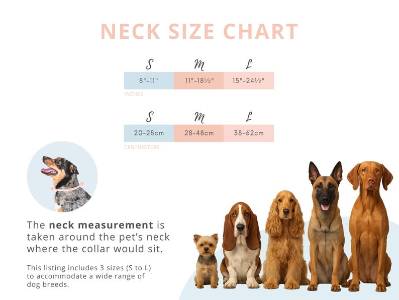 May include: A neck size chart with measurements in inches and centimeters. The chart includes sizes S (8"-11" or 20-28cm), M (11"-18.5" or 28-48cm), and L (15"-24.5" or 38-62cm). The image also features illustrations of various dog breeds.
