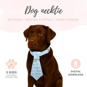 May include: A brown Labrador Retriever wearing a light blue dog necktie with a striped pattern. The image includes the text "Dog necktie" and "PATTERNS + WRITTEN TUTORIAL + VIDEO TUTORIAL". The image also includes the text "5 SIZES EXTRA SMALL TO EXTRA LARGE" and "DIGITAL DOWNLOAD".