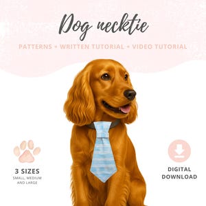 Pode incluir: Um Cocker Spaniel dourado usando uma gravata para cão listrada azul clara. A imagem inclui o texto "Dog necktie" e "PATTERNS + WRITTEN TUTORIAL + VIDEO TUTORIAL". Texto adicional indica "3 SIZES" e "DIGITAL DOWNLOAD".