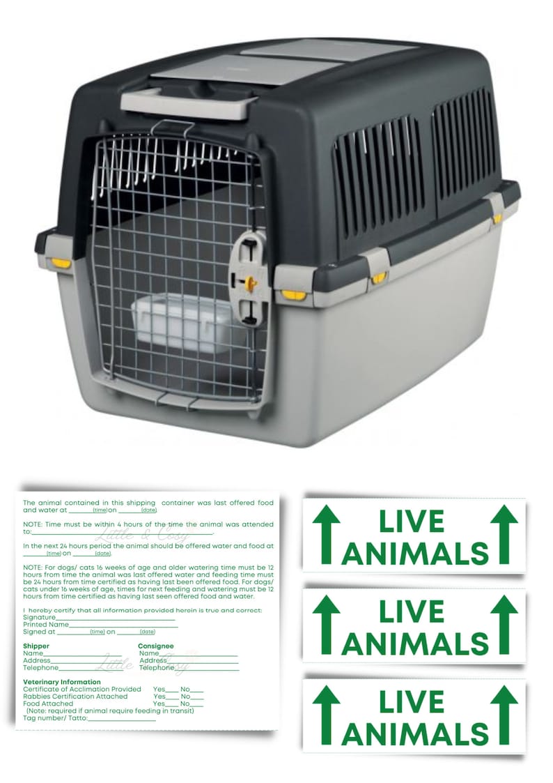 IATA pet stickers / IATA required pet stickers / Airline cargo crate / Live Animal Shipping Label image 4