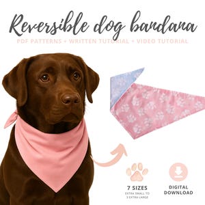 Pode incluir: Um Labrador castanho usando uma bandana reversível rosa para cães. A bandana também é mostrada separadamente, com um padrão rosa de pegadas de patas em um lado e um padrão azul claro no outro. O texto diz "Reversible dog bandana".