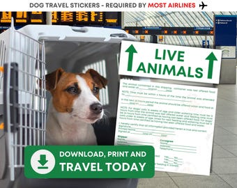 Op de afbeelding: Een wit met bruine Jack Russell Terrier zit in een grijze plastic reismand voor huisdieren. Daarnaast staat een witte sticker met groene tekst LIVE ANIMALS en een formulier voor instructies over voeding en verzorging.