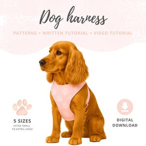 Pode incluir: Um Cocker Spaniel dourado usando uma coleira rosa para cães com um padrão de pegadas. A imagem inclui o texto "Dog harness" e "PATTERNS + WRITTEN TUTORIAL + VIDEO TUTORIAL". Texto adicional indica "5 SIZES" e "DIGITAL DOWNLOAD".