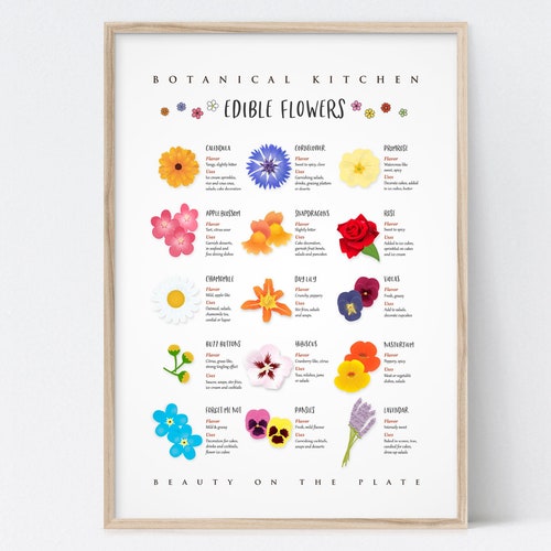 A3 Edible Flowers Print - Etsy