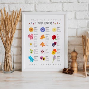 Może przedstawiać: Oprawiony biały wydruk ścienny zatytułowany Botanical Kitchen Edible Flowers, przedstawiający ilustracje r&oacute;żnych kwiat&oacute;w wraz z opisowym tekstem dla każdego z nich, w tym Calendula, Cornflower, Primrose, Apple Blossom, Snapdragon i Rose.