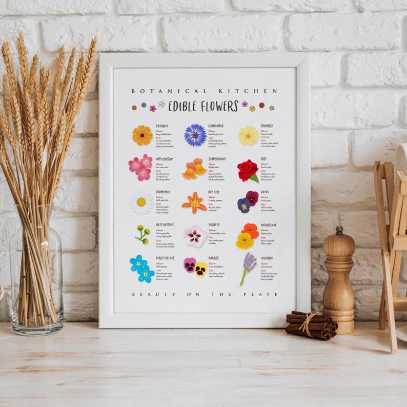 Może przedstawiać: Oprawiony biały wydruk ścienny zatytułowany Botanical Kitchen Edible Flowers, przedstawiający ilustracje r&oacute;żnych kwiat&oacute;w wraz z opisowym tekstem dla każdego z nich, w tym Calendula, Cornflower, Primrose, Apple Blossom, Snapdragon i Rose.