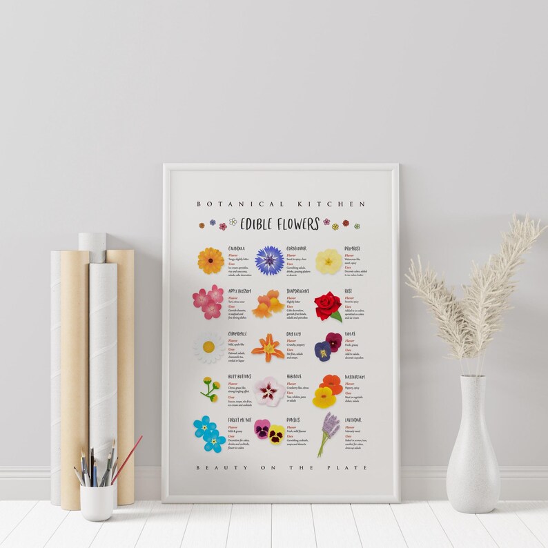 Może przedstawiać: Biały, prostokątny wydruk ścienny zatytułowany Botanical Kitchen Edible Flowers, przedstawiający kolorowe ilustracje r&oacute;żnych kwiat&oacute;w z opisowym tekstem dla każdego z nich, w cienkiej białej ramie na gładkiej ścianie.