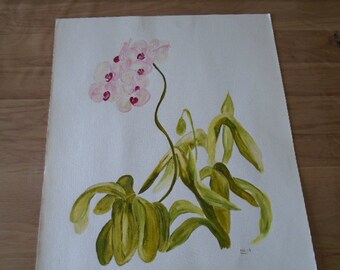 Fête des mères, aquarelle : Orchidée