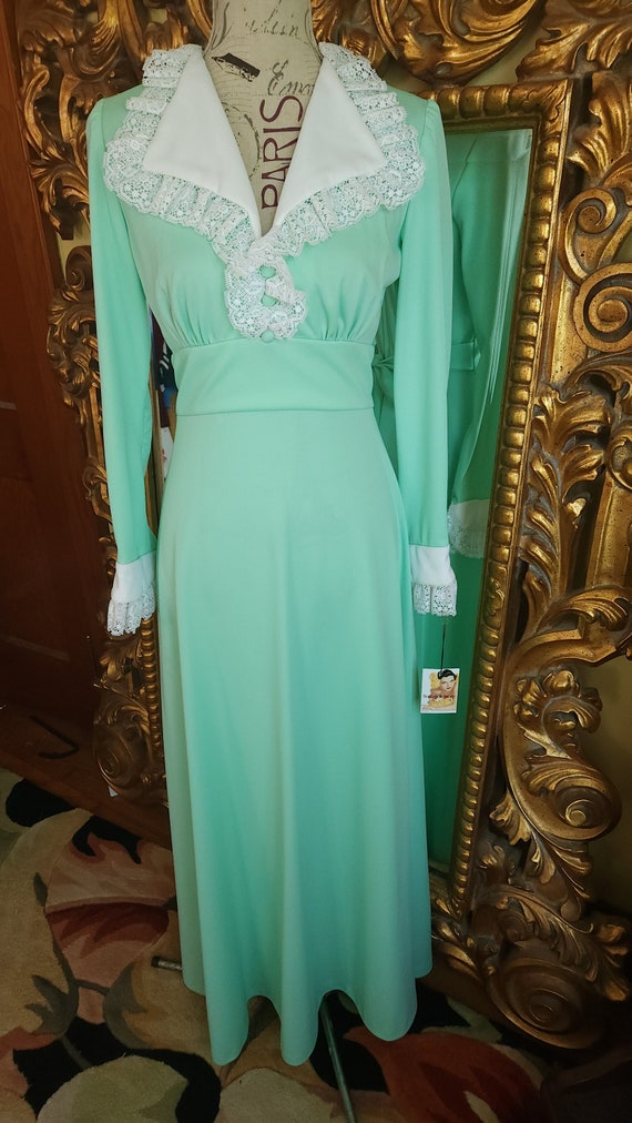 Vintage 70's Mint Green Maxi Dress with Beautiful 